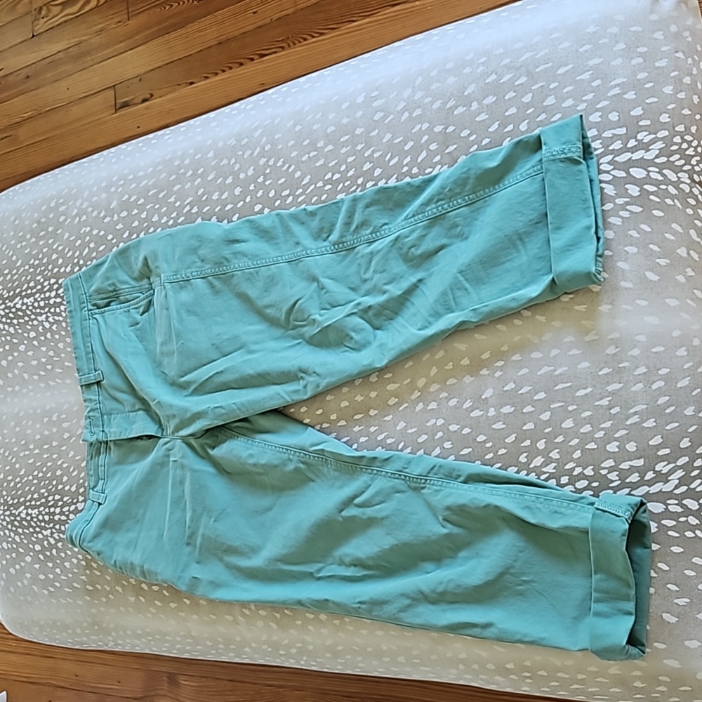 J Crew Pants